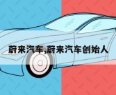 蔚来汽车,蔚来汽车创始人