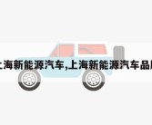 上海新能源汽车,上海新能源汽车品牌