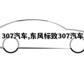 307汽车,东风标致307汽车