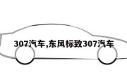 307汽车,东风标致307汽车