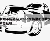 复制后不能粘贴,word文档里的图片复制后不能粘贴