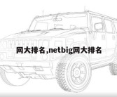 网大排名,netbig网大排名