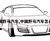 中国野马汽车,中国野马汽车怎么样