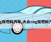 cng双燃料汽车,大众cng双燃料汽车