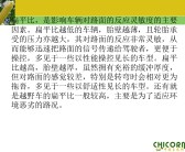 汽车轮胎价格“报价图片参数”