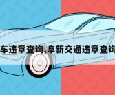 阜新汽车违章查询,阜新交通违章查询网官方