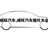 威旺汽车,威旺汽车图片大全