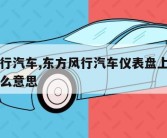 东方风行汽车,东方风行汽车仪表盘上出现一个车什么意思