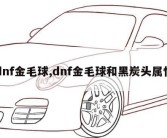 dnf金毛球,dnf金毛球和黑炭头属性