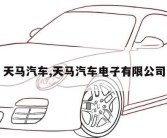 天马汽车,天马汽车电子有限公司