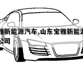 山东宝雅新能源汽车,山东宝雅新能源汽车股份有限公司