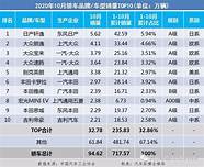 国内乘用车销量排行榜 全年